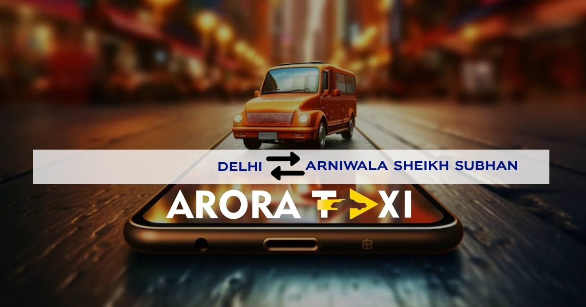 DELHI TO arniwala shiekh subhan